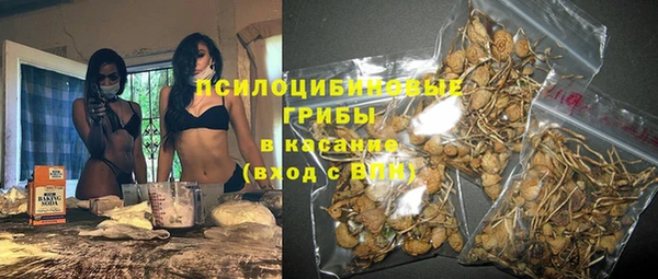 ALPHA PVP Богородск
