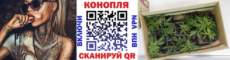МАРИХУАНА AK-47 Плёс